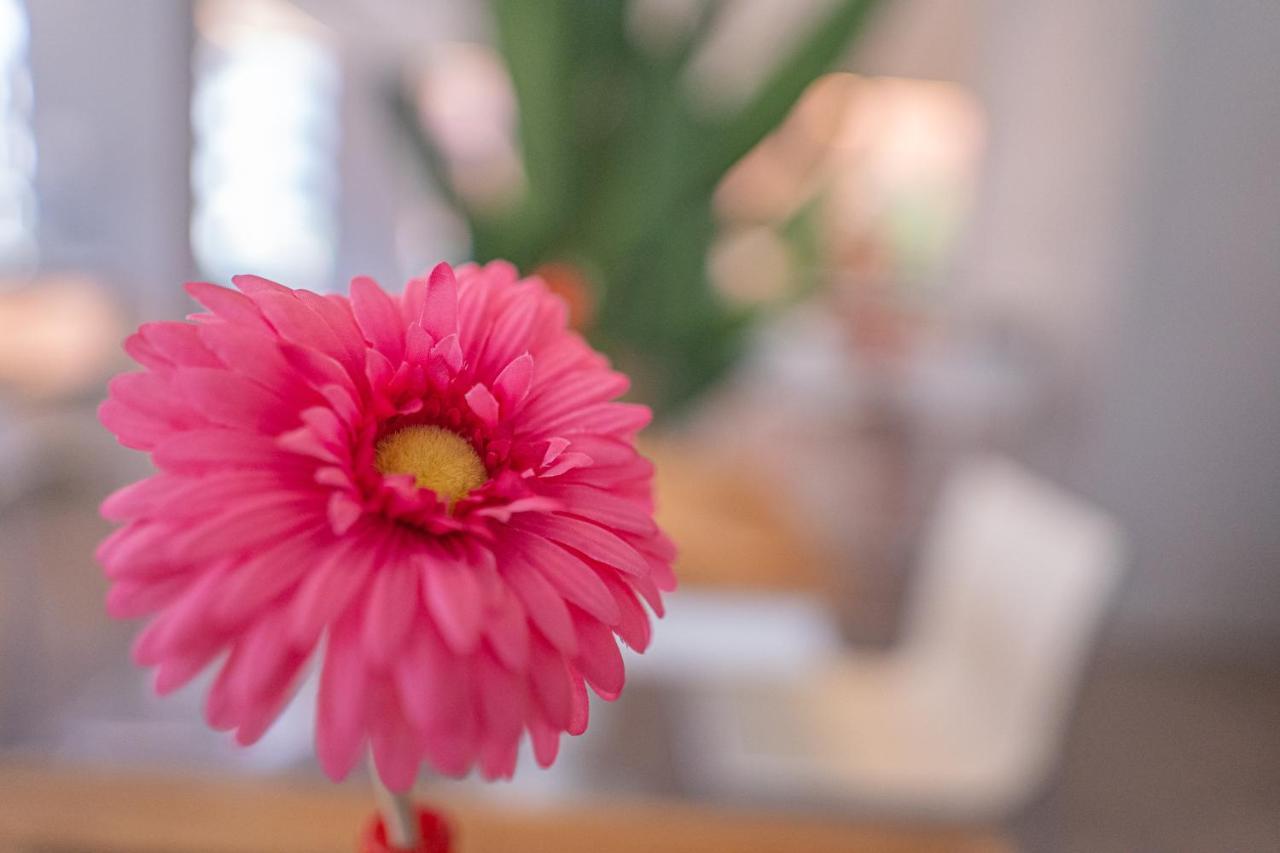 Design Hotel Astra B&B Misano Adriatico Eksteriør billede